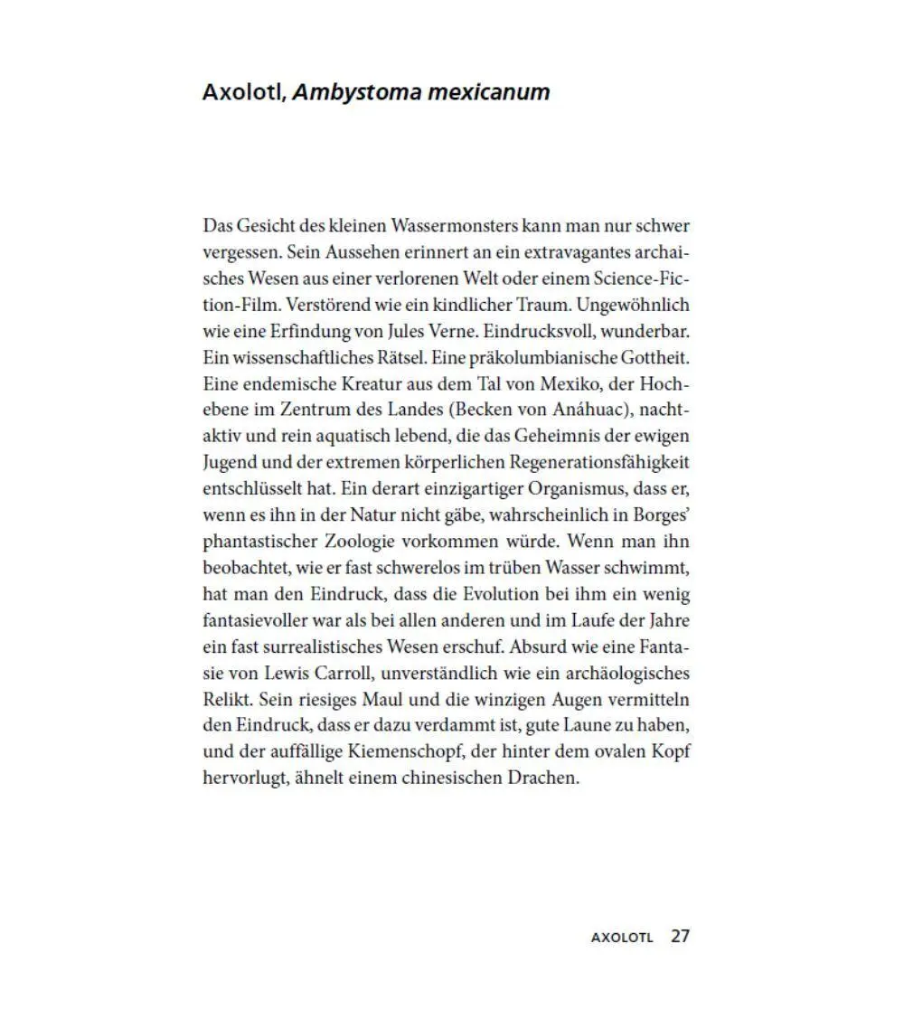 Bild: 9783442774630 | Die ewige Jugend des Axolotls | Andrés Cota Hiriart | Taschenbuch