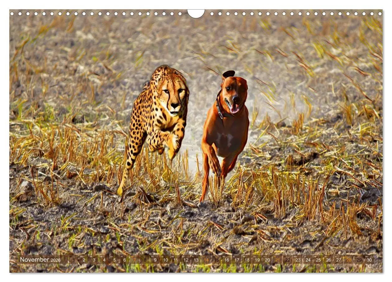 Bild: 9783457864630 | Rhodesian Ridgeback der Hund mit dem Tropfen Löwenblut...