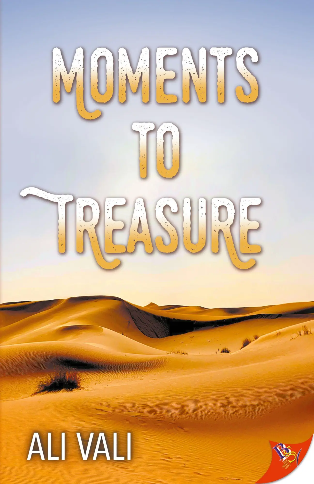 Cover: 9781636794730 | Moments to Treasure | Ali Vali | Taschenbuch | Englisch | 2025