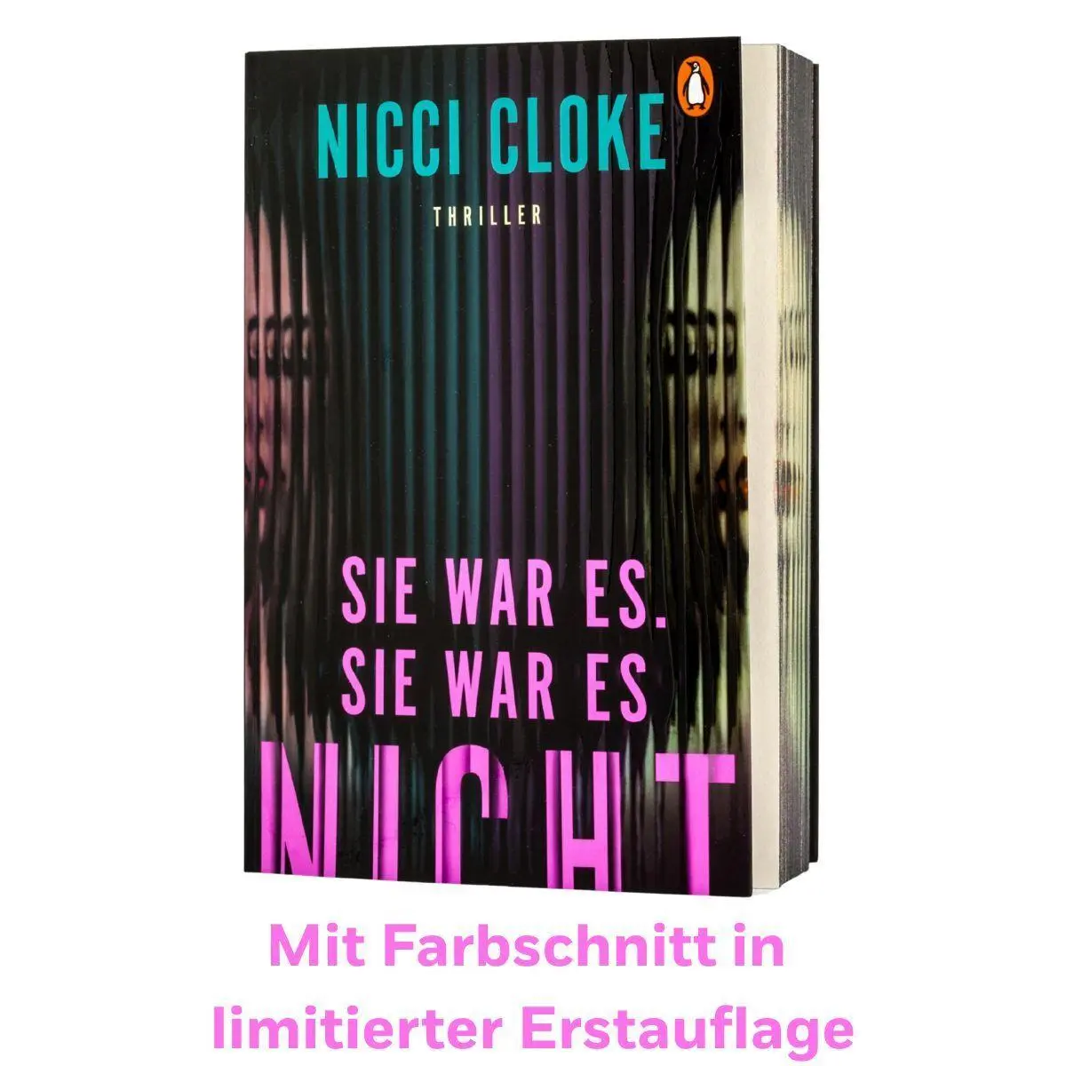 Bild: 9783328604730 | Sie war es. Sie war es nicht. | Nicci Cloke | Taschenbuch | 448 S.