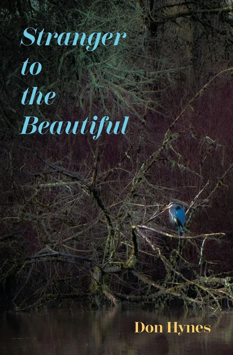Cover: 9780974164830 | Stranger to the Beautiful | Don Hynes | Taschenbuch | Englisch | 2026