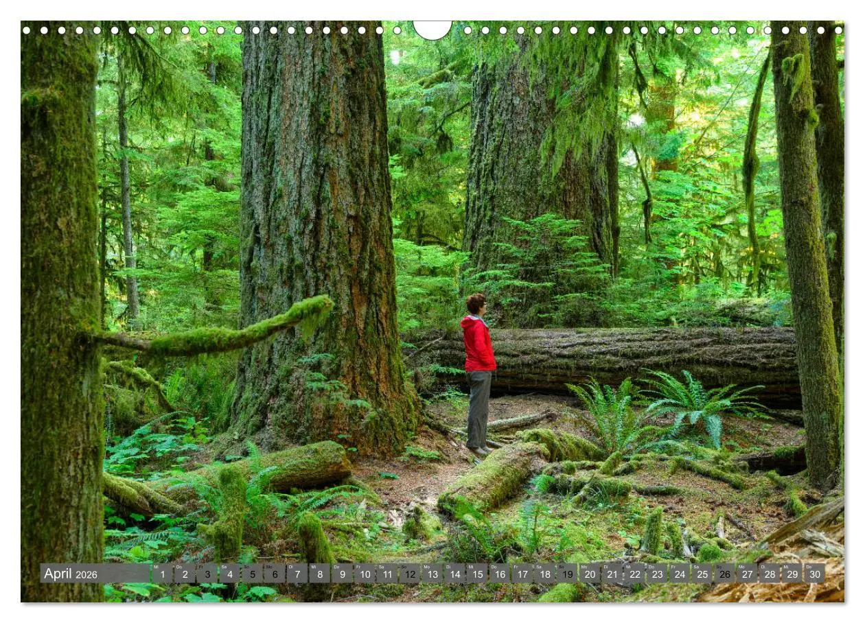 Bild: 9783457774830 | Kanada der Westen (Wandkalender 2026 DIN A3 quer), CALVENDO...