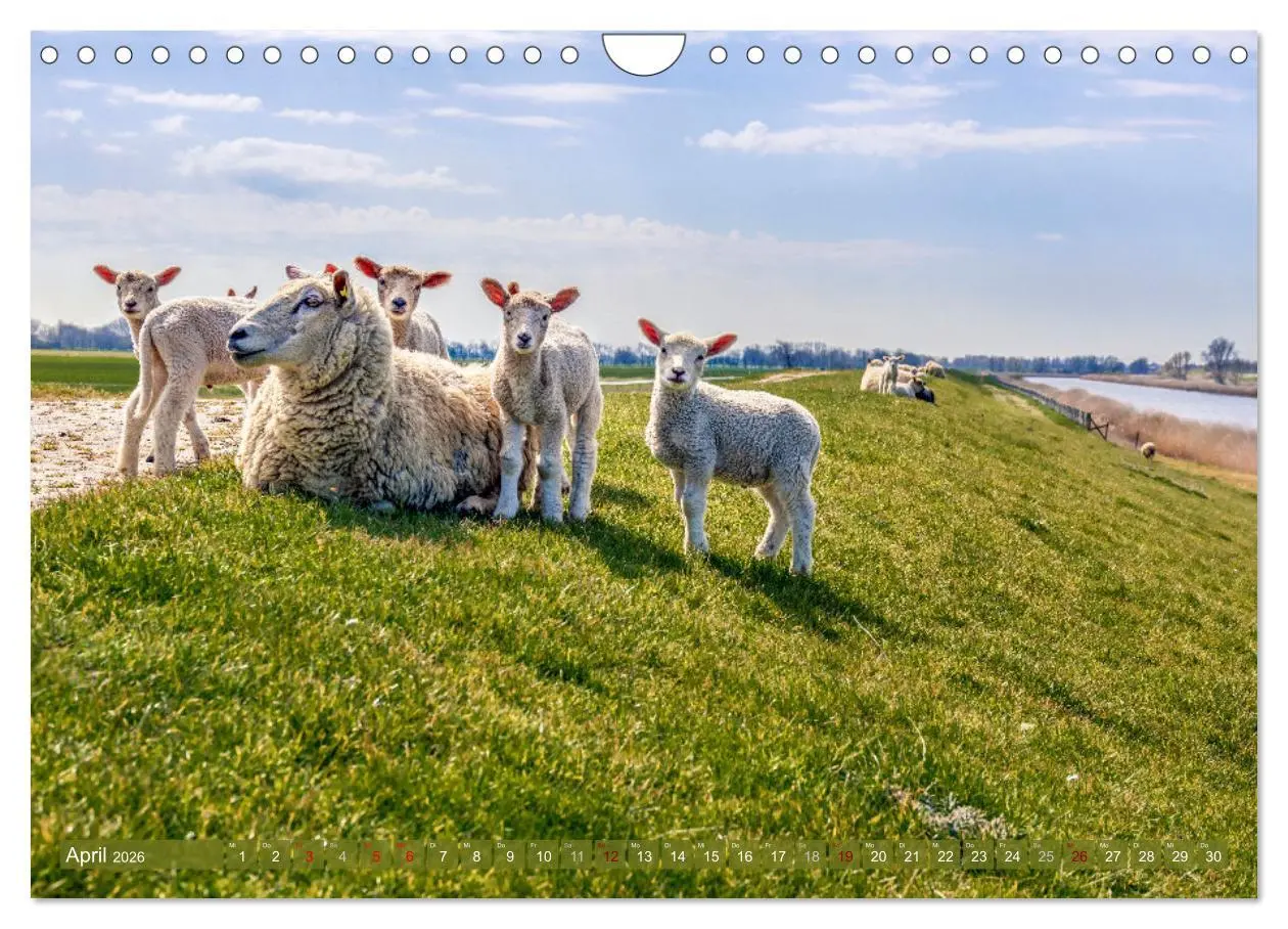 Bild: 9783457914830 | GREETSIEL-LIEBE (Wandkalender 2026 DIN A4 quer), CALVENDO...