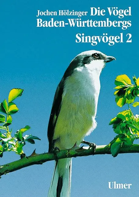 Cover: 9783800134830 | Singvögel 2 | Jochen Hölzinger | Buch | 939 S. | Deutsch | 1997 Cover: 9783800134830 | Singvögel 2 | Jochen Hölzinger | Buch | 939 S. | Deutsch | 1997