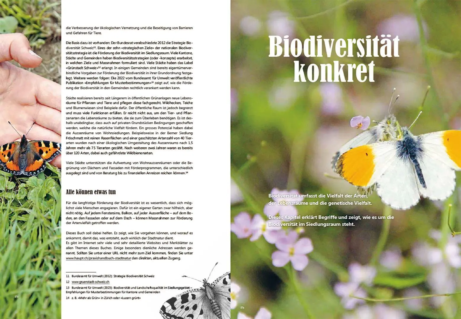 Bild: 9783258084930 | Praxishandbuch Stadtnatur | Sabine Tschäppeler (u. a.) | Taschenbuch