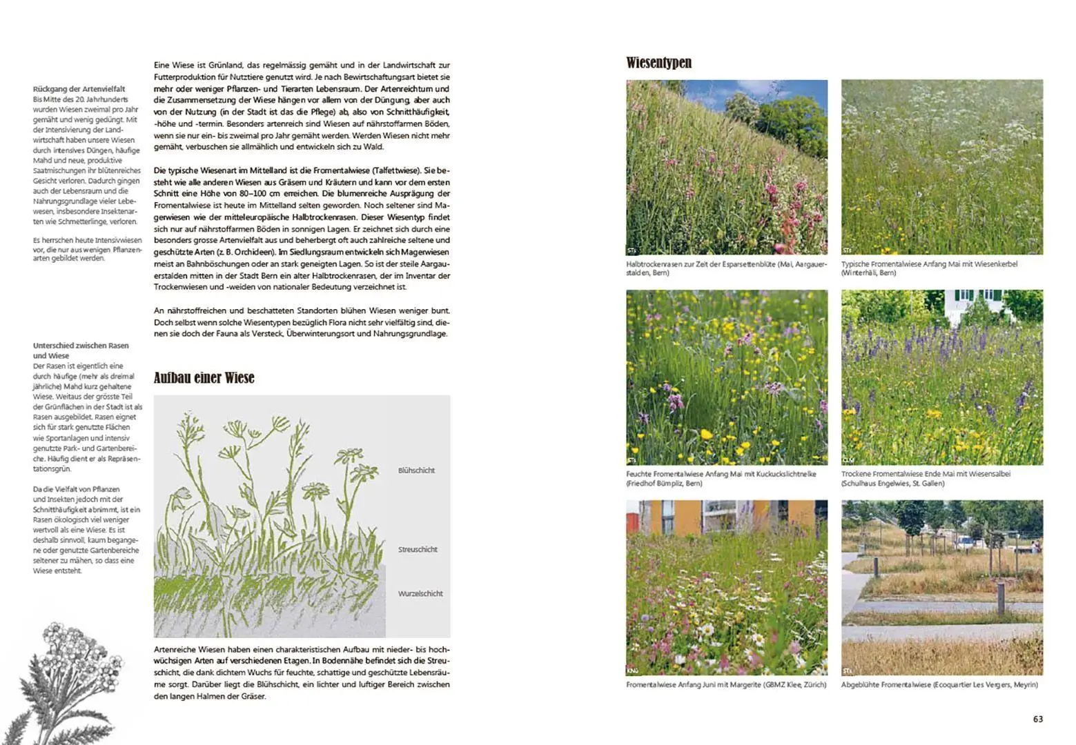 Bild: 9783258084930 | Praxishandbuch Stadtnatur | Sabine Tschäppeler (u. a.) | Taschenbuch
