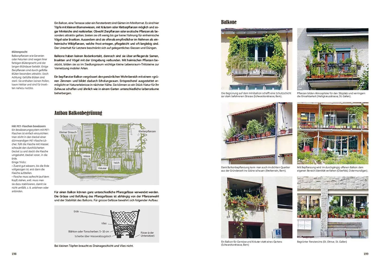 Bild: 9783258084930 | Praxishandbuch Stadtnatur | Sabine Tschäppeler (u. a.) | Taschenbuch