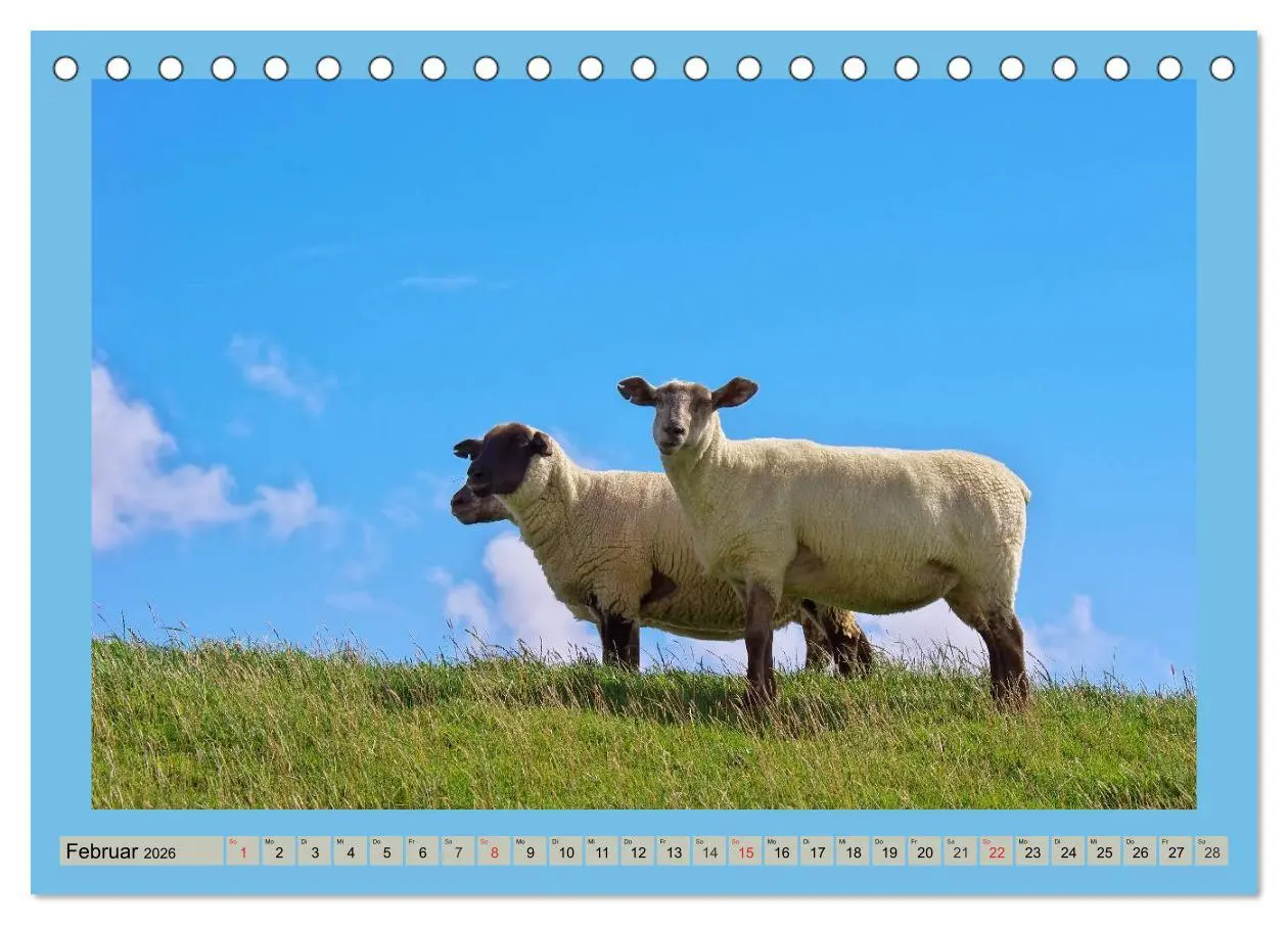 Bild: 9783516094930 | Büsum an der Nordsee (Tischkalender 2026 DIN A5 quer), CALVENDO...