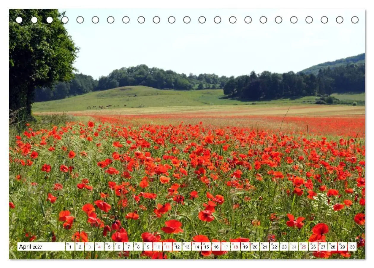 Bild: 9783569874930 | Naturlandschaft Laacher See (Tischkalender 2027 DIN A5 quer),...