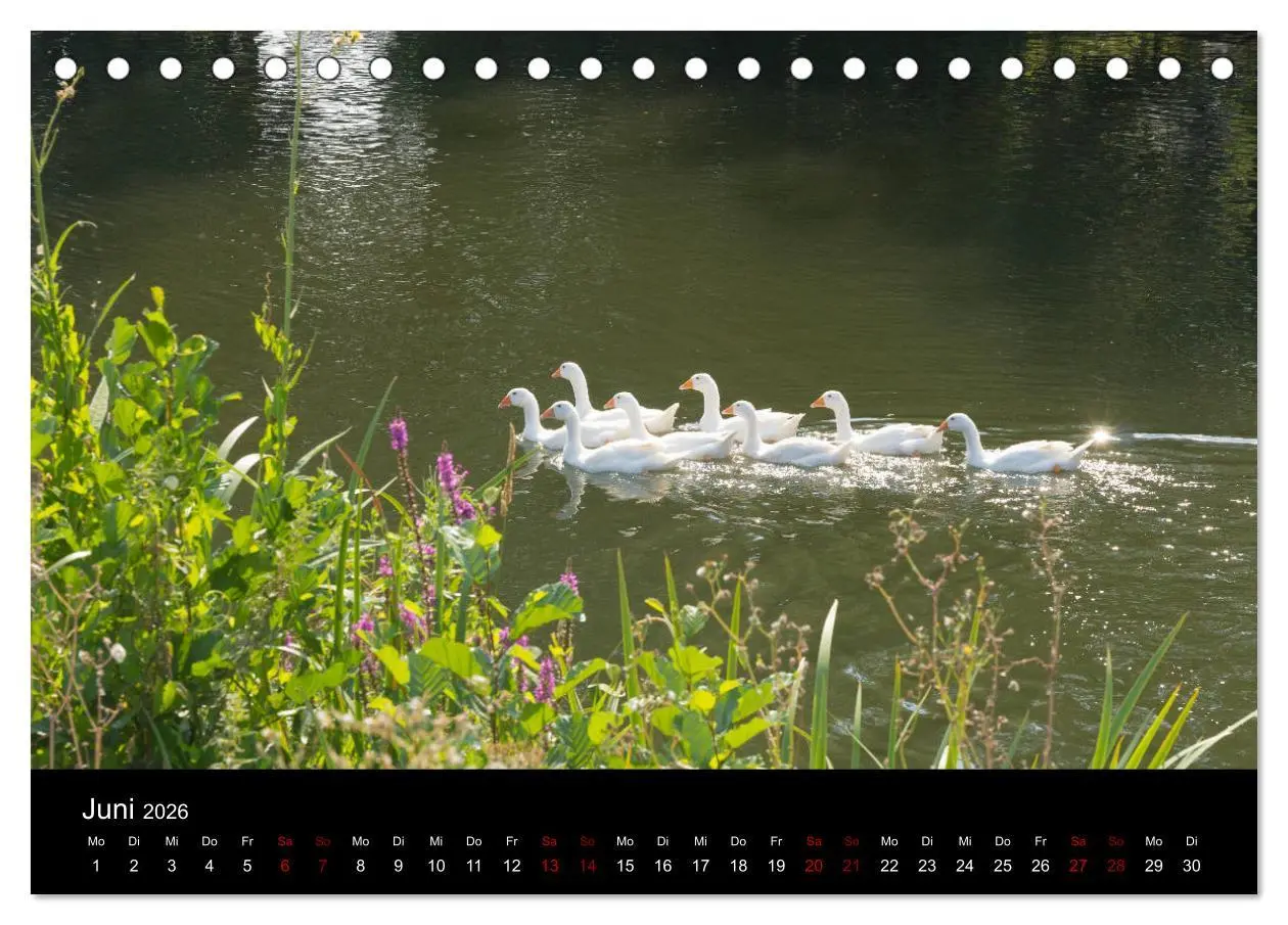 Bild: 9783457895030 | Die Amper - Ansichten eines bayerischen Flusses (Tischkalender 2026...