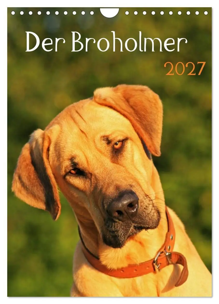 Cover: 9783594105030 | Der Broholmer (Wandkalender 2027 DIN A4 hoch), CALVENDO Monatskalender