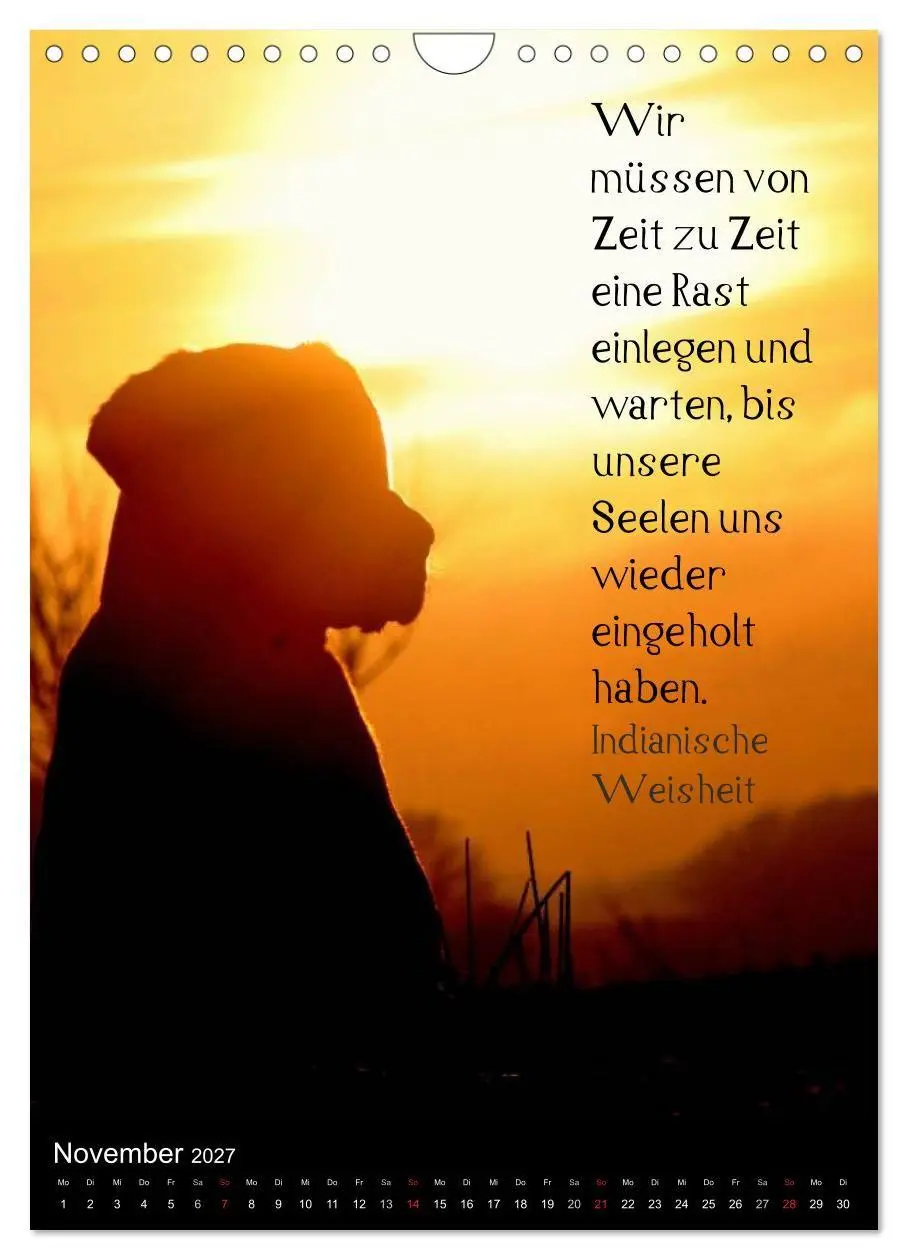 Bild: 9783594105030 | Der Broholmer (Wandkalender 2027 DIN A4 hoch), CALVENDO Monatskalender