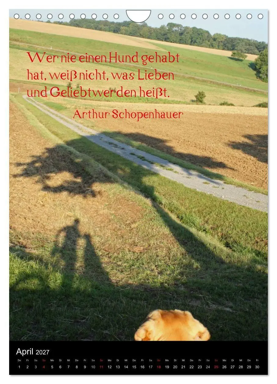 Bild: 9783594105030 | Der Broholmer (Wandkalender 2027 DIN A4 hoch), CALVENDO Monatskalender