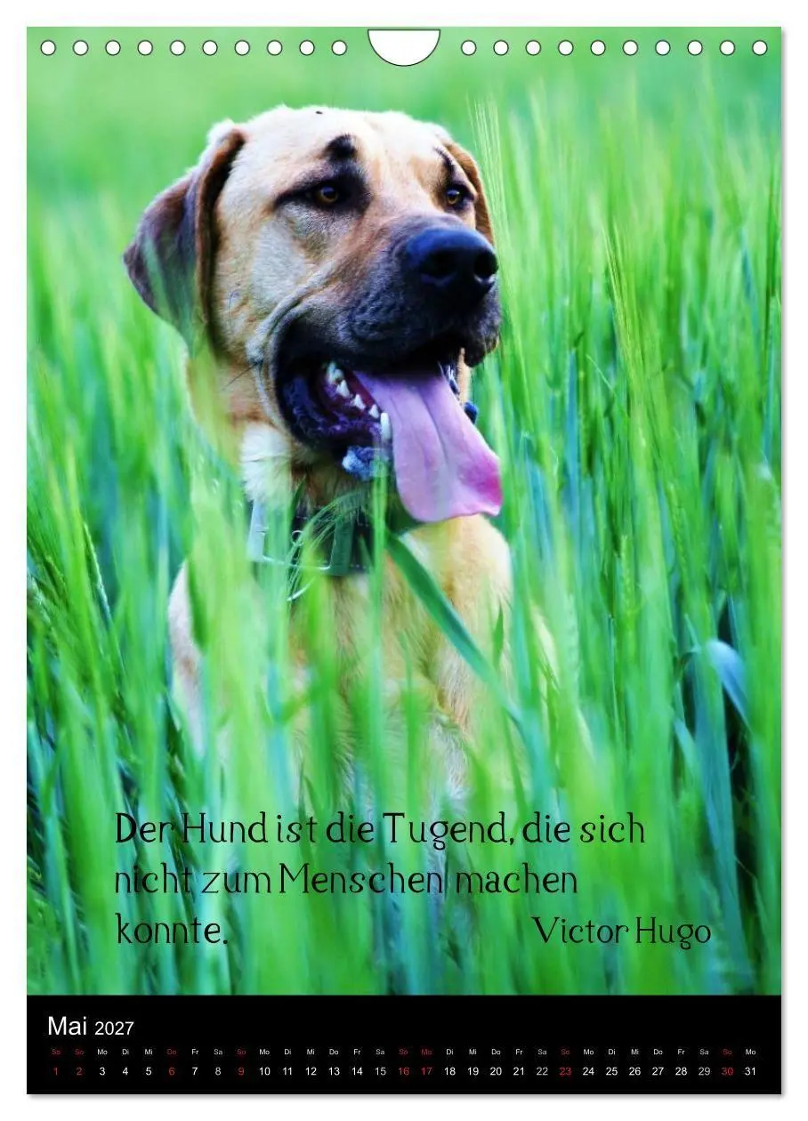 Bild: 9783594105030 | Der Broholmer (Wandkalender 2027 DIN A4 hoch), CALVENDO Monatskalender