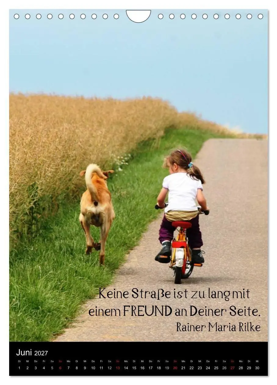 Bild: 9783594105030 | Der Broholmer (Wandkalender 2027 DIN A4 hoch), CALVENDO Monatskalender