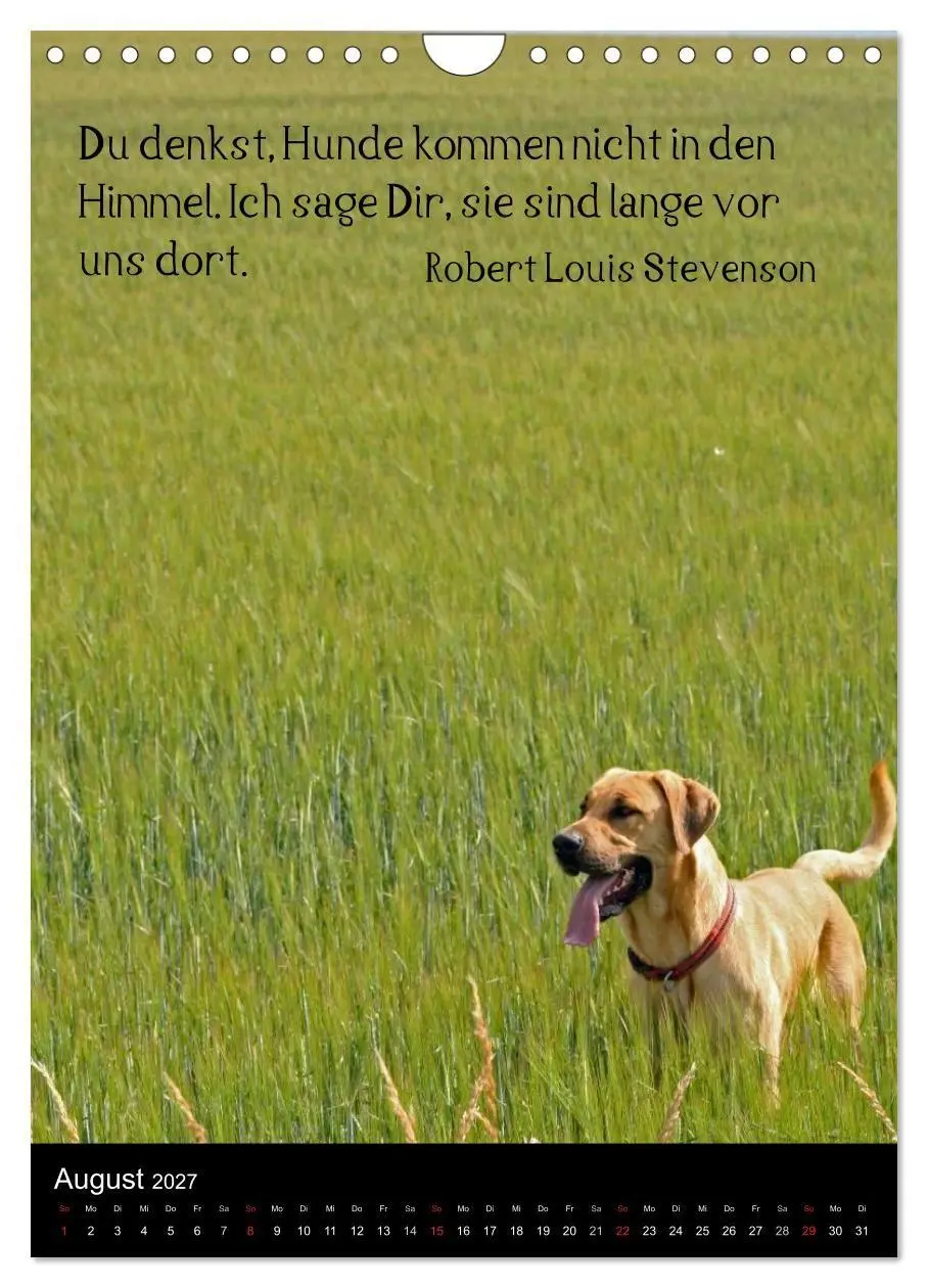 Bild: 9783594105030 | Der Broholmer (Wandkalender 2027 DIN A4 hoch), CALVENDO Monatskalender