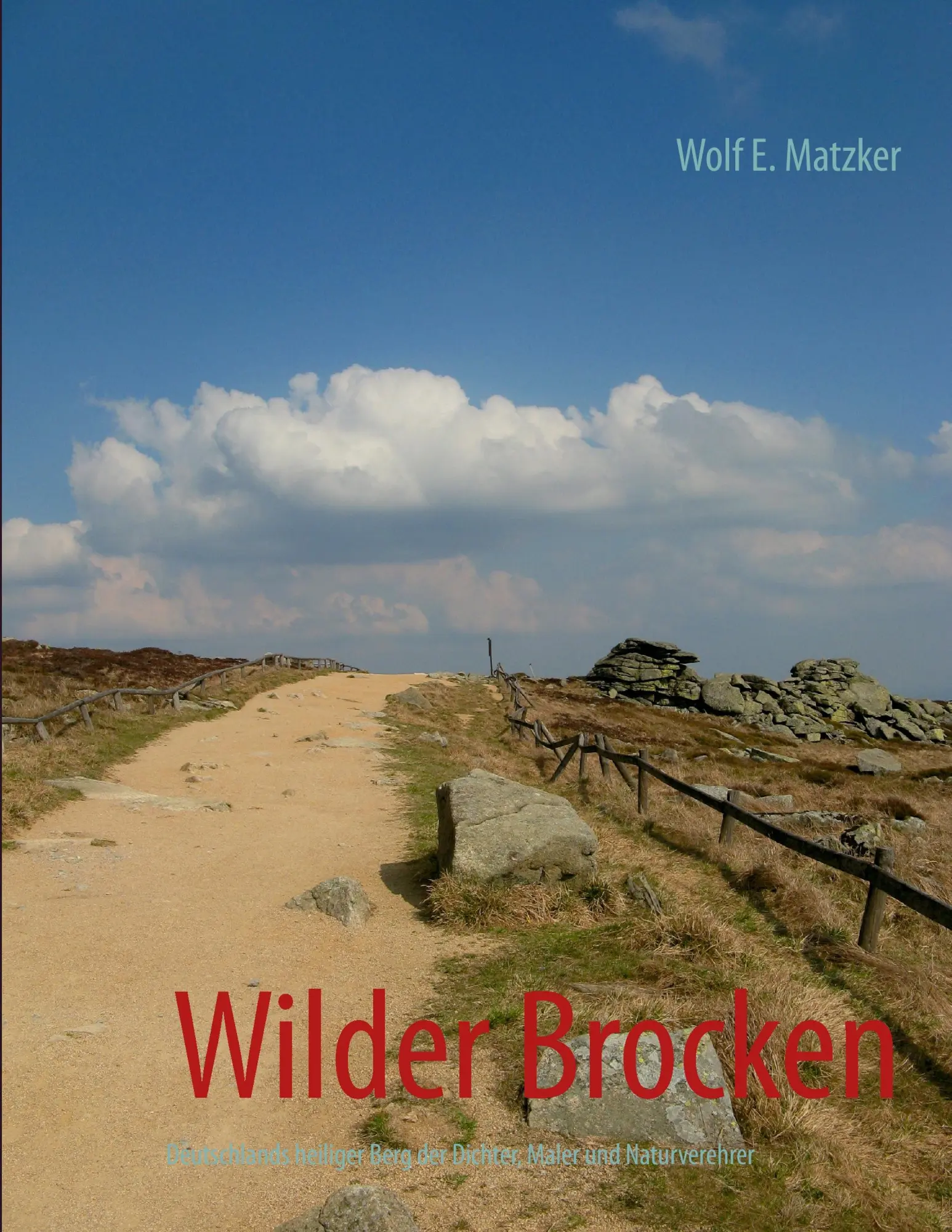 Cover: 9783732255030 | Wilder Brocken | Wolf E. Matzker | Taschenbuch | 260 S. | Deutsch