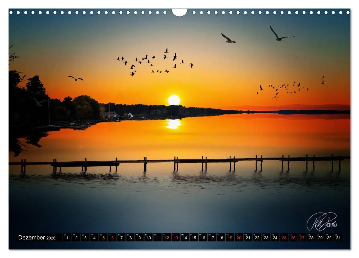 Bild: 9783516115130 | Am Steinhuder Meer (Wandkalender 2026 DIN A3 quer), CALVENDO...