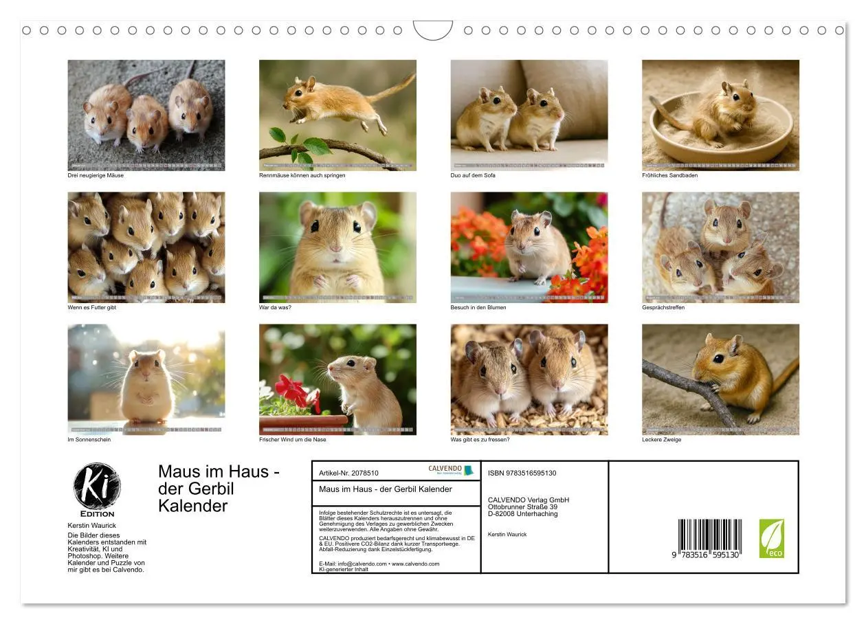 Bild: 9783516595130 | Maus im Haus - der Gerbil Kalender (Wandkalender 2026 DIN A3 quer),...