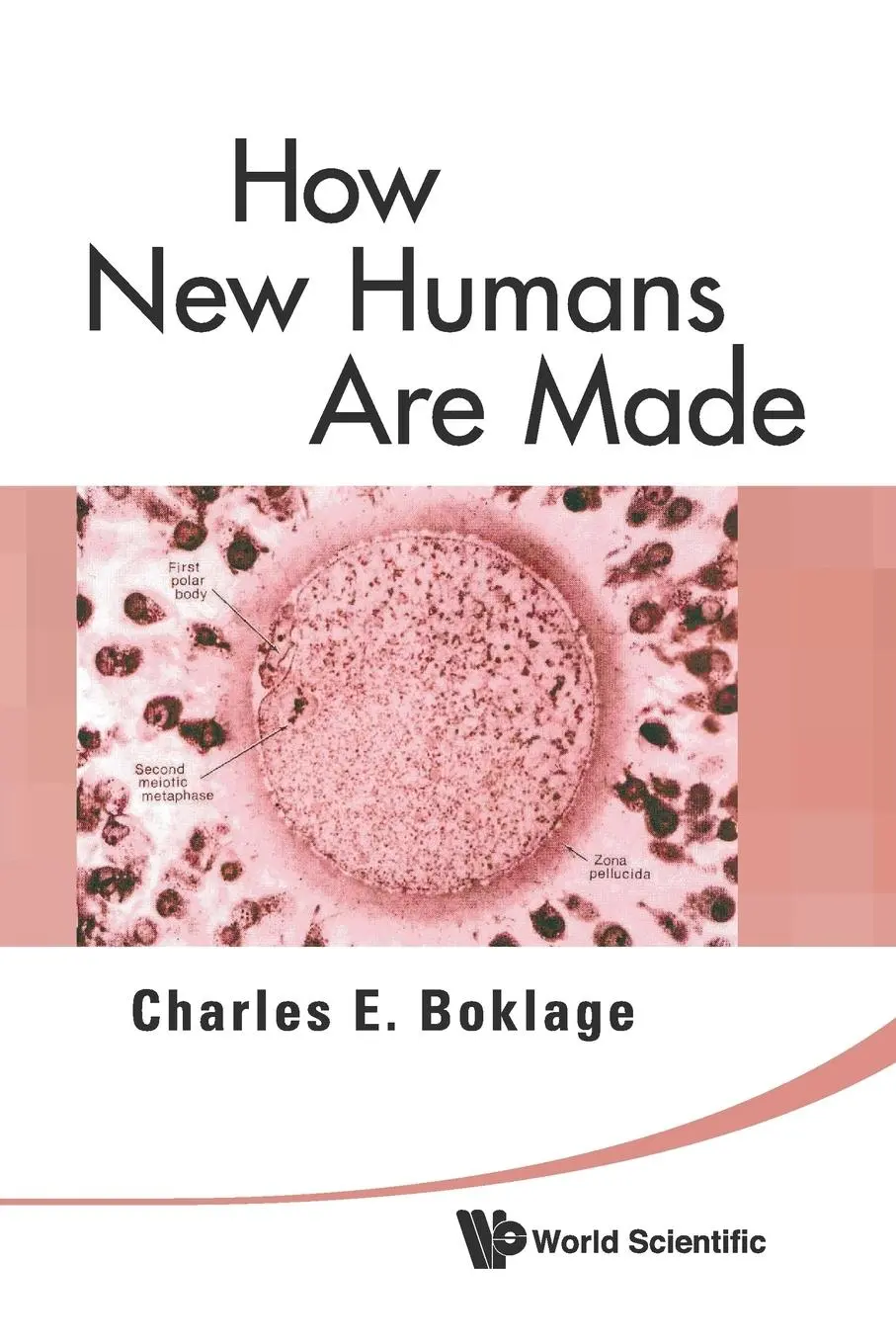 Cover: 9789812835130 | HOW NEW HUMANS ARE MADE | Charles E Boklage | Taschenbuch | Englisch