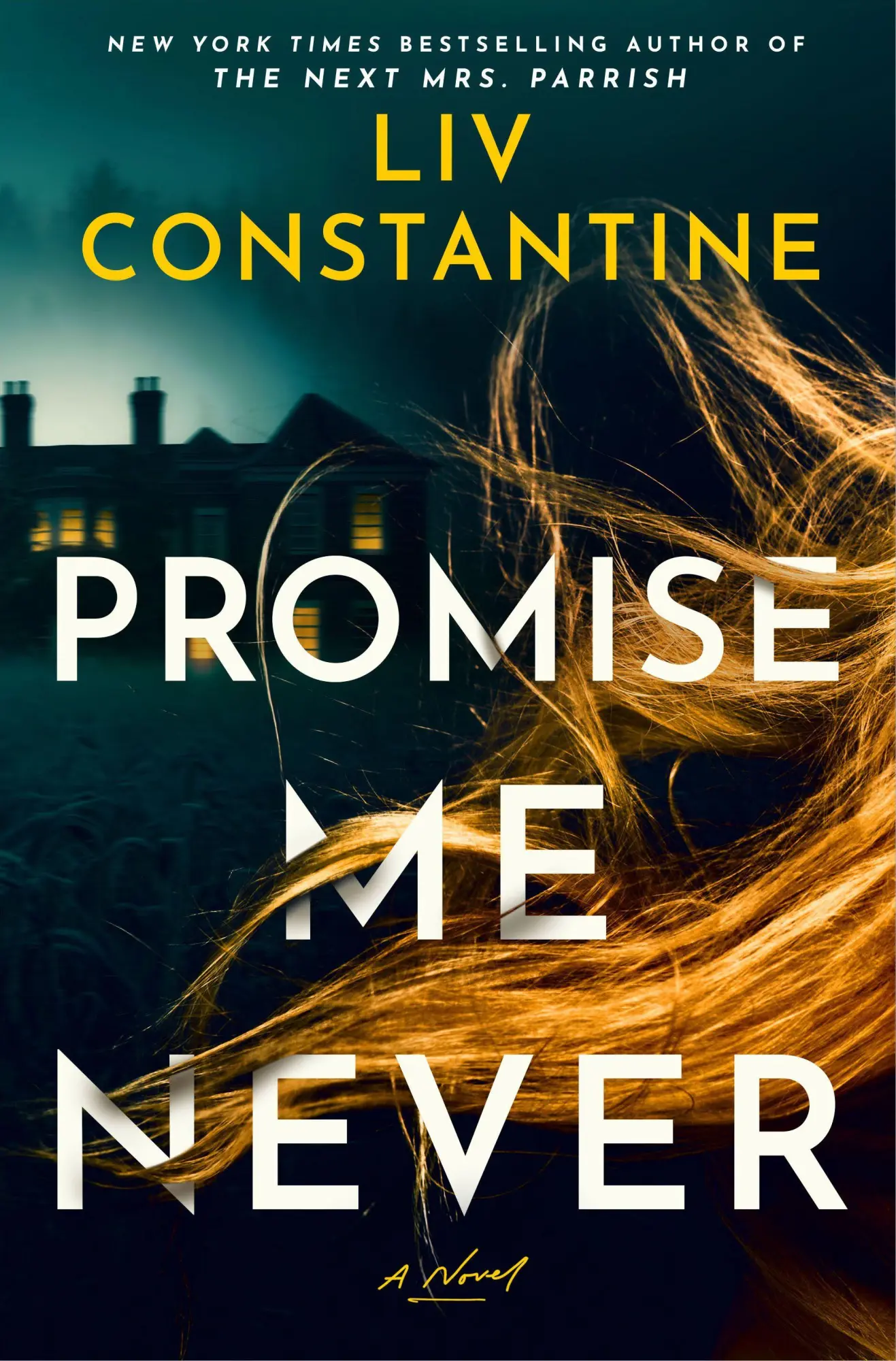 Cover: 9780593875230 | Promise Me Never | A Novel | Liv Constantine | Buch | Englisch | 2026