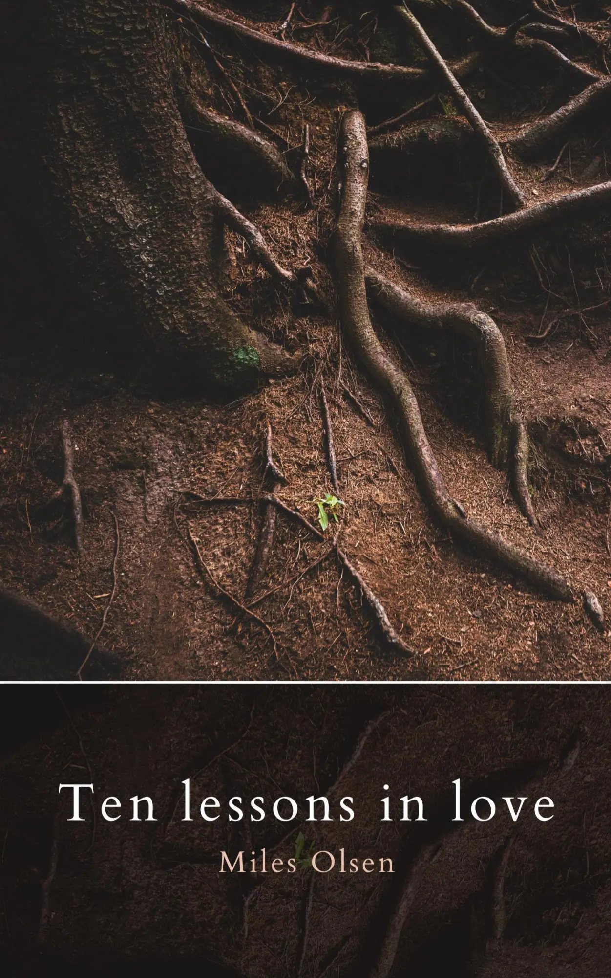 Cover: 9781777465230 | Ten Lessons In Love | Miles Olsen | Taschenbuch | Englisch | 2023