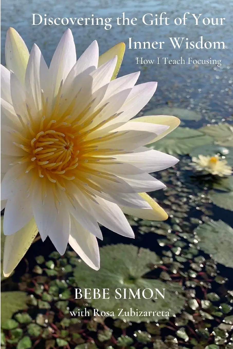 Cover: 9781794745230 | Discovering the Gift of Your Inner Wisdom | How I Teach Focusing