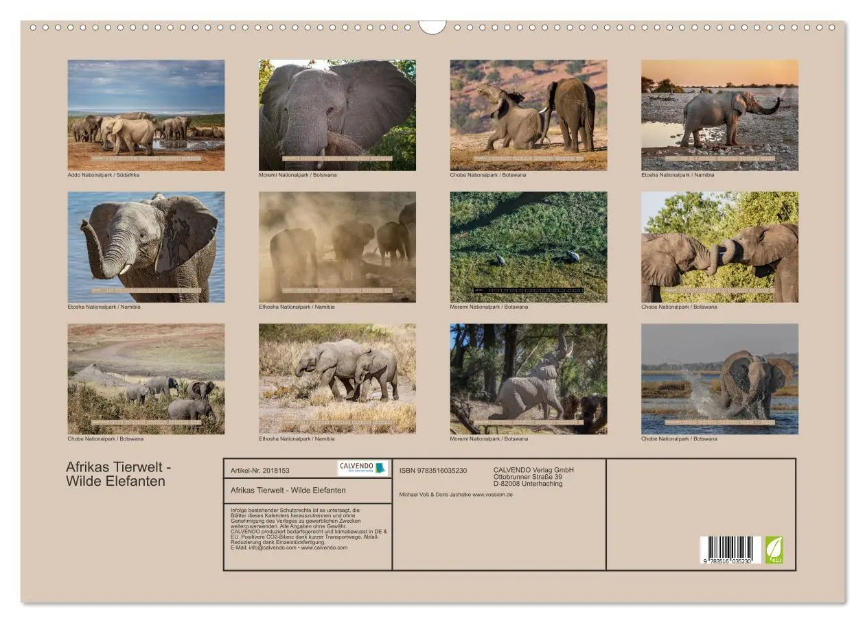 Bild: 9783516035230 | Afrikas Tierwelt - Wilde Elefanten (Wandkalender 2026 DIN A2 quer),...