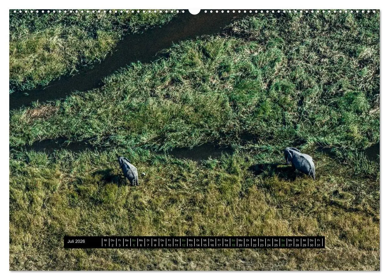 Bild: 9783516035230 | Afrikas Tierwelt - Wilde Elefanten (Wandkalender 2026 DIN A2 quer),...