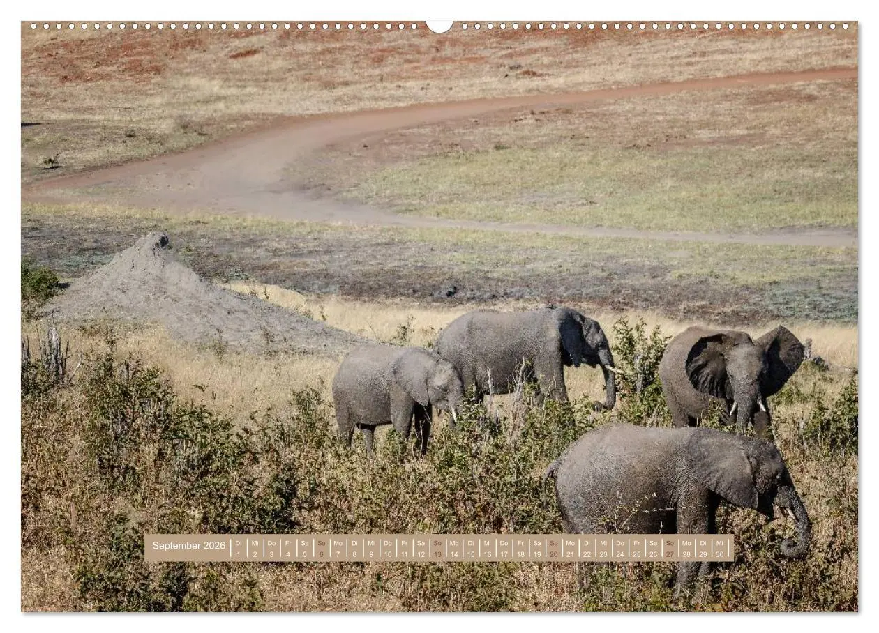 Bild: 9783516035230 | Afrikas Tierwelt - Wilde Elefanten (Wandkalender 2026 DIN A2 quer),...