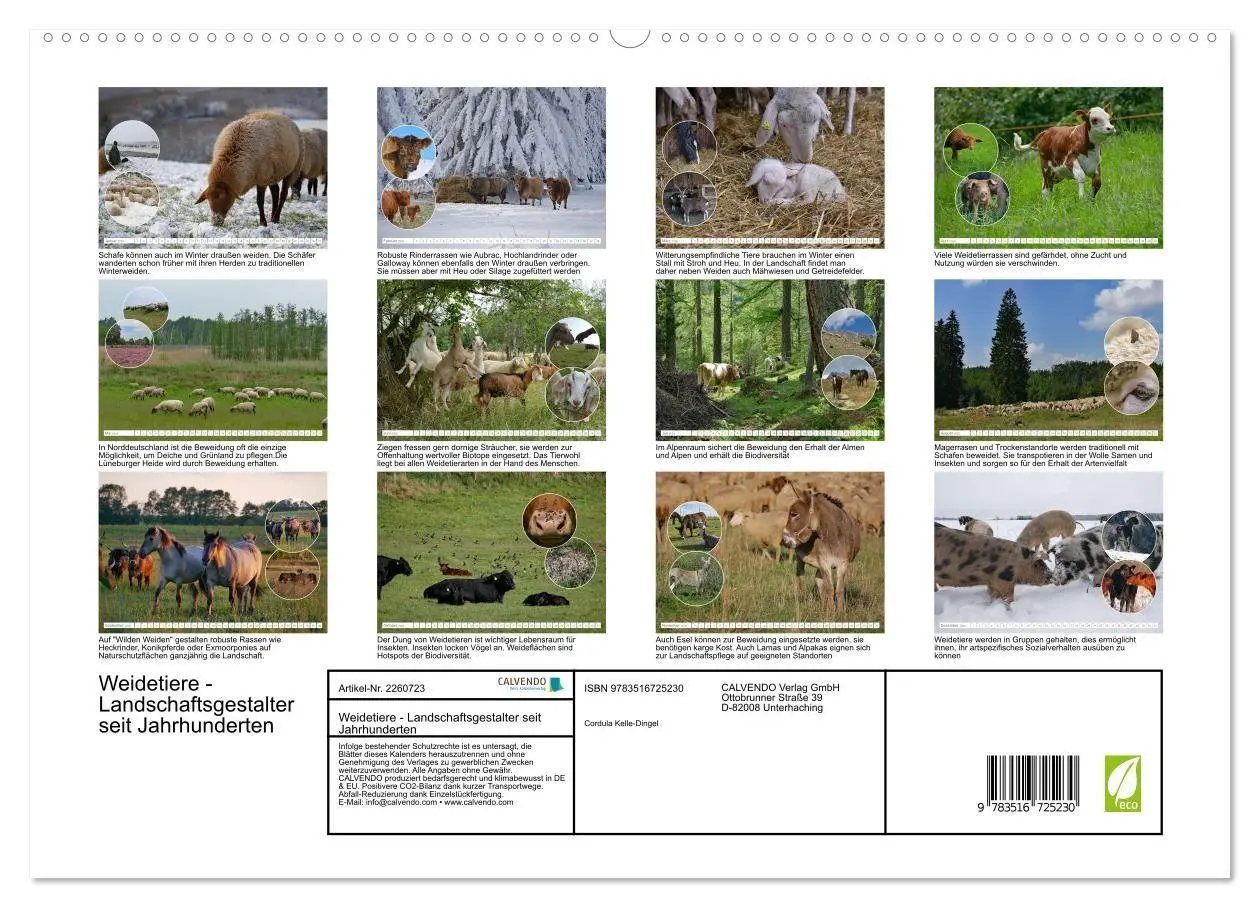 Bild: 9783516725230 | Weidetiere - Landschaftsgestalter seit Jahrhunderten (hochwertiger...