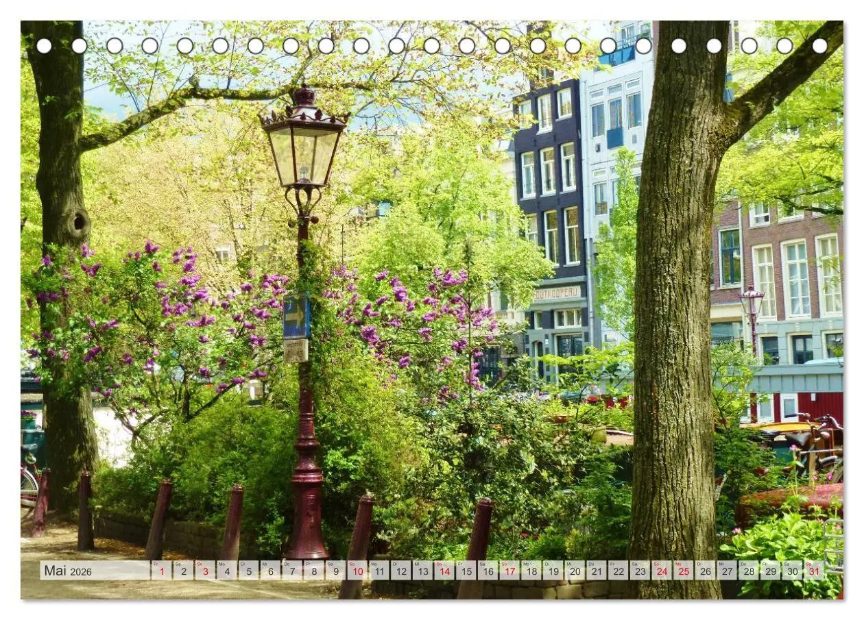 Bild: 9783516195330 | Amsterdam (Tischkalender 2026 DIN A5 quer), CALVENDO Monatskalender