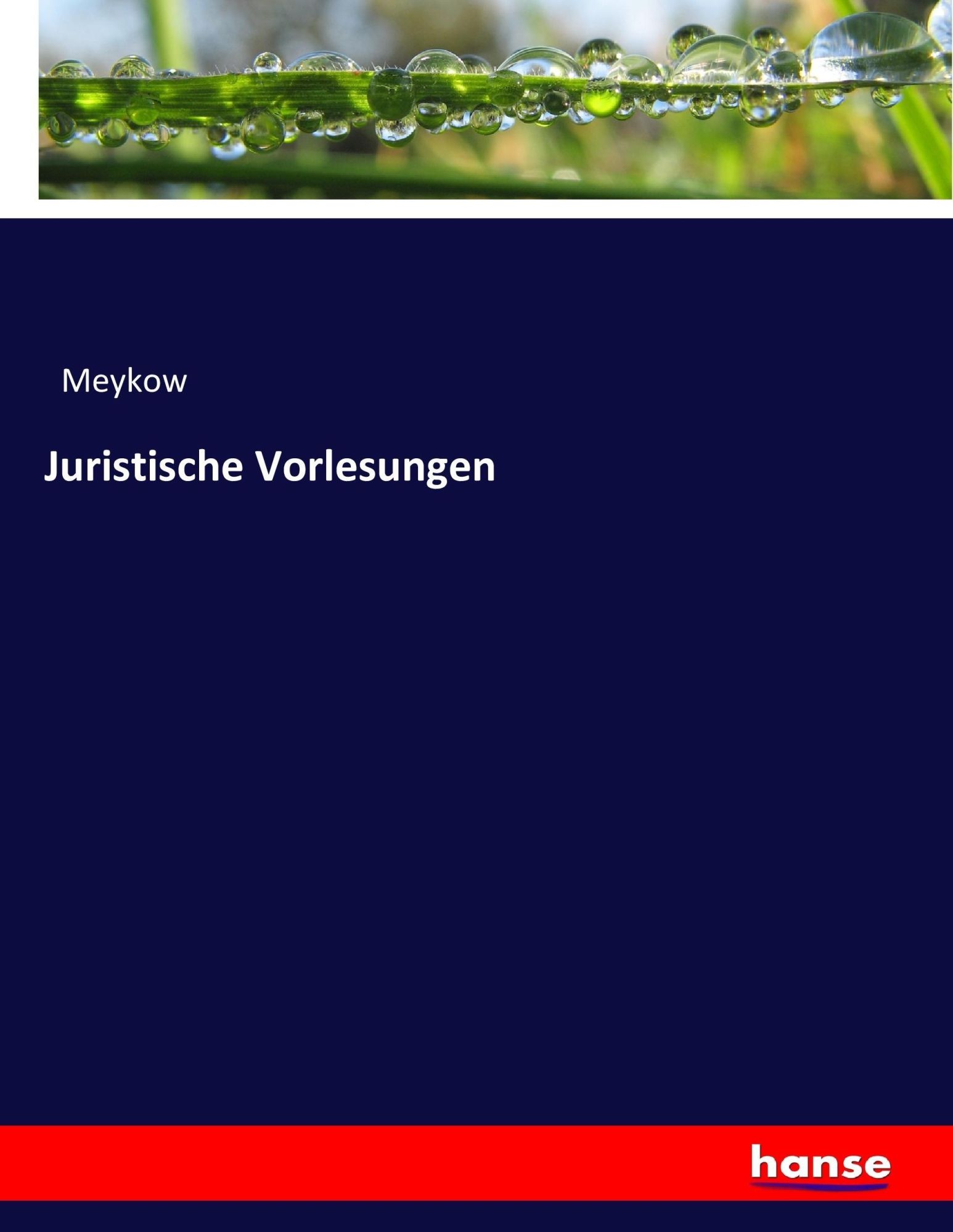Cover: 9783744655330 | Juristische Vorlesungen | Meykow | Taschenbuch | 600 S. | Deutsch