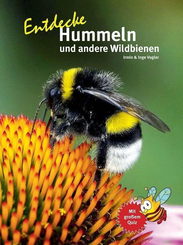Cover: 9783866595330 | Entdecke Hummeln und andere Wildbienen | Inge Vogler (u. a.) | Buch