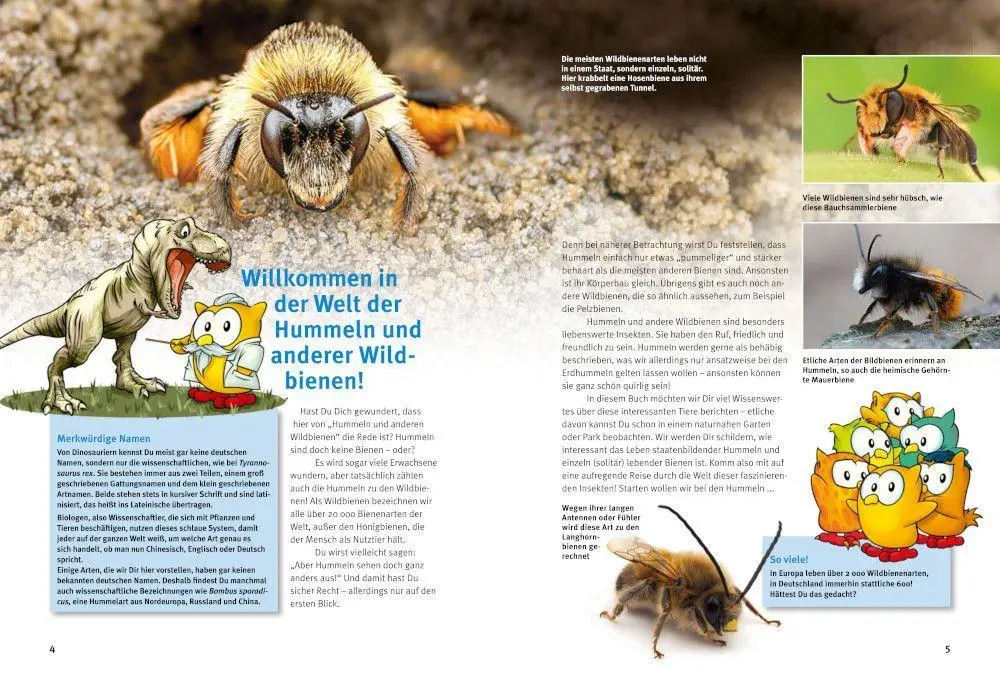 Bild: 9783866595330 | Entdecke Hummeln und andere Wildbienen | Inge Vogler (u. a.) | Buch