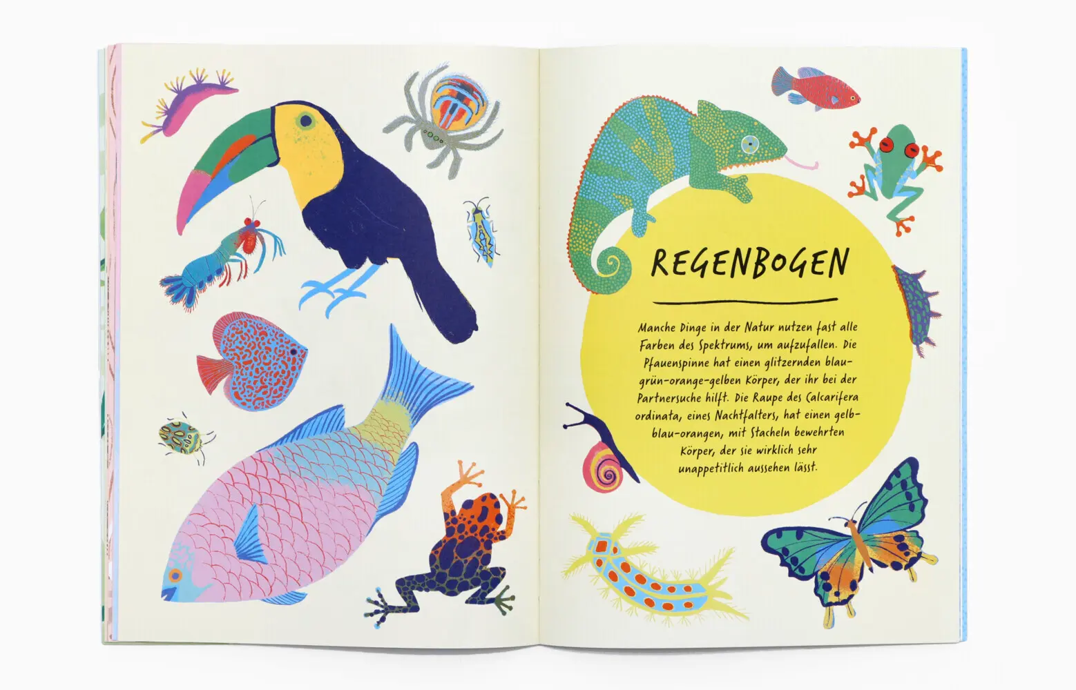 Bild: 9783962445430 | Zeichne wie die Natur: Farben | Emily Rand | Taschenbuch | 64 S.