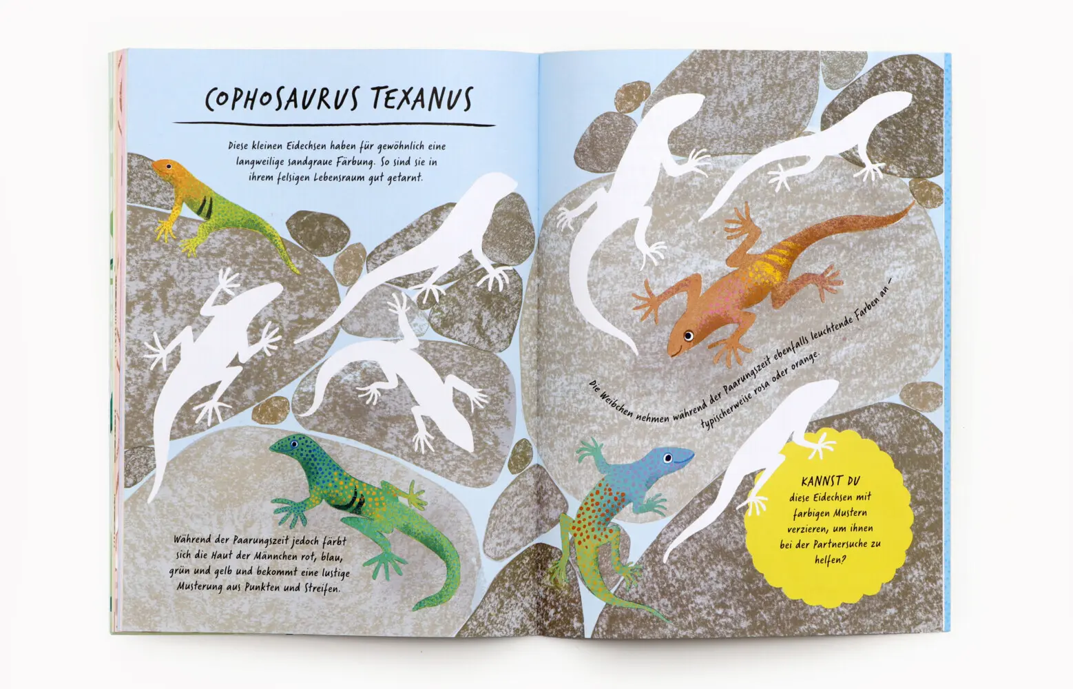 Bild: 9783962445430 | Zeichne wie die Natur: Farben | Emily Rand | Taschenbuch | 64 S.