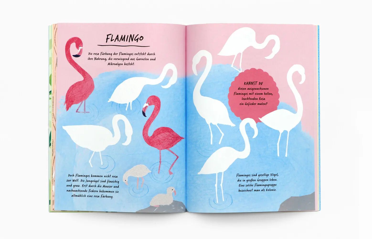 Bild: 9783962445430 | Zeichne wie die Natur: Farben | Emily Rand | Taschenbuch | 64 S.