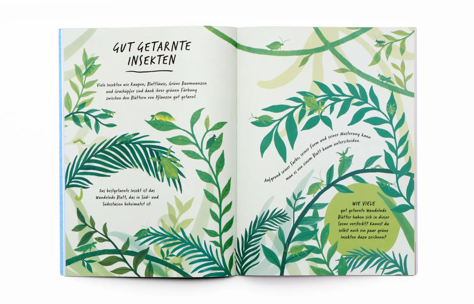 Bild: 9783962445430 | Zeichne wie die Natur: Farben | Emily Rand | Taschenbuch | 64 S.