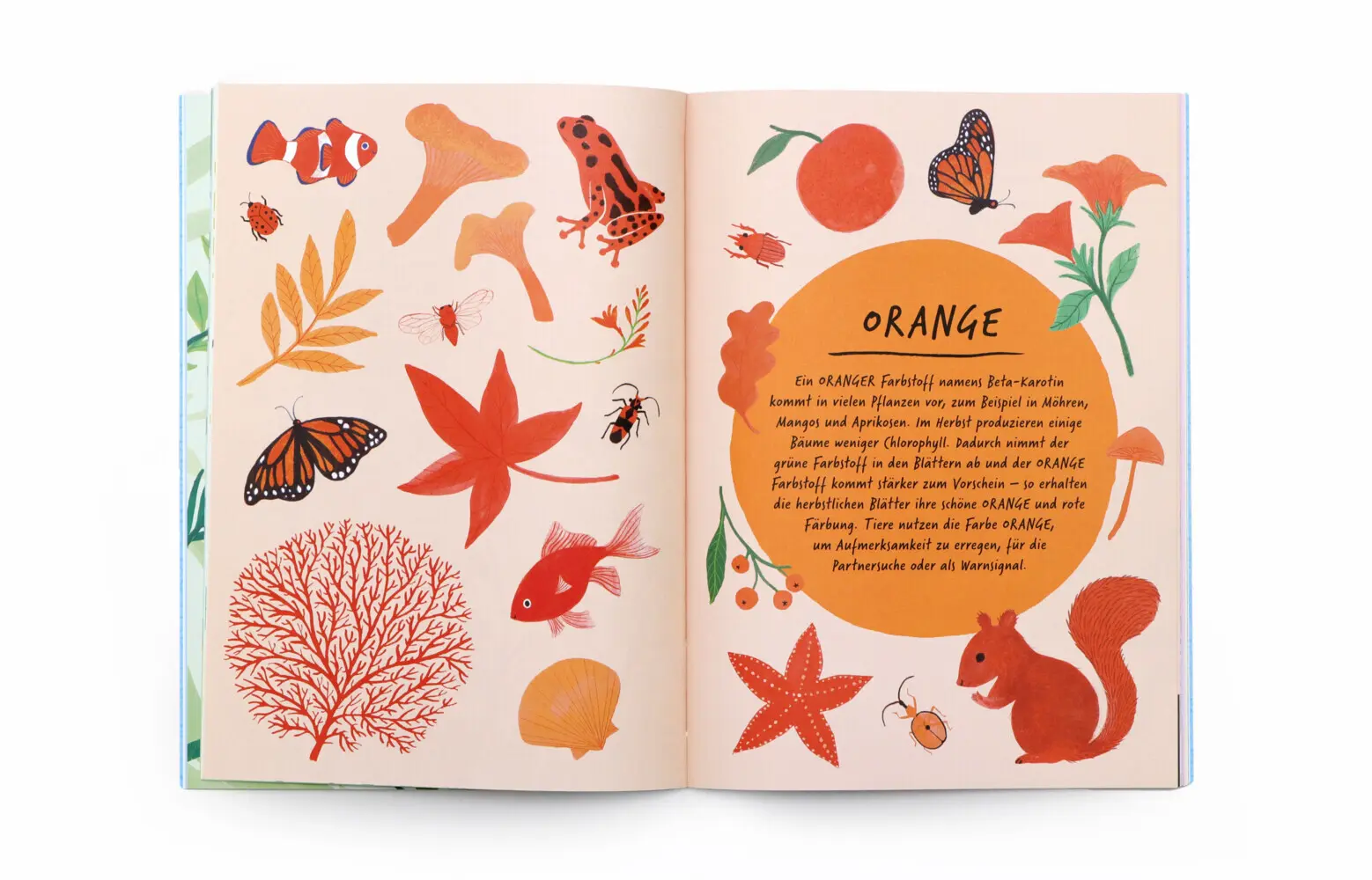 Bild: 9783962445430 | Zeichne wie die Natur: Farben | Emily Rand | Taschenbuch | 64 S.