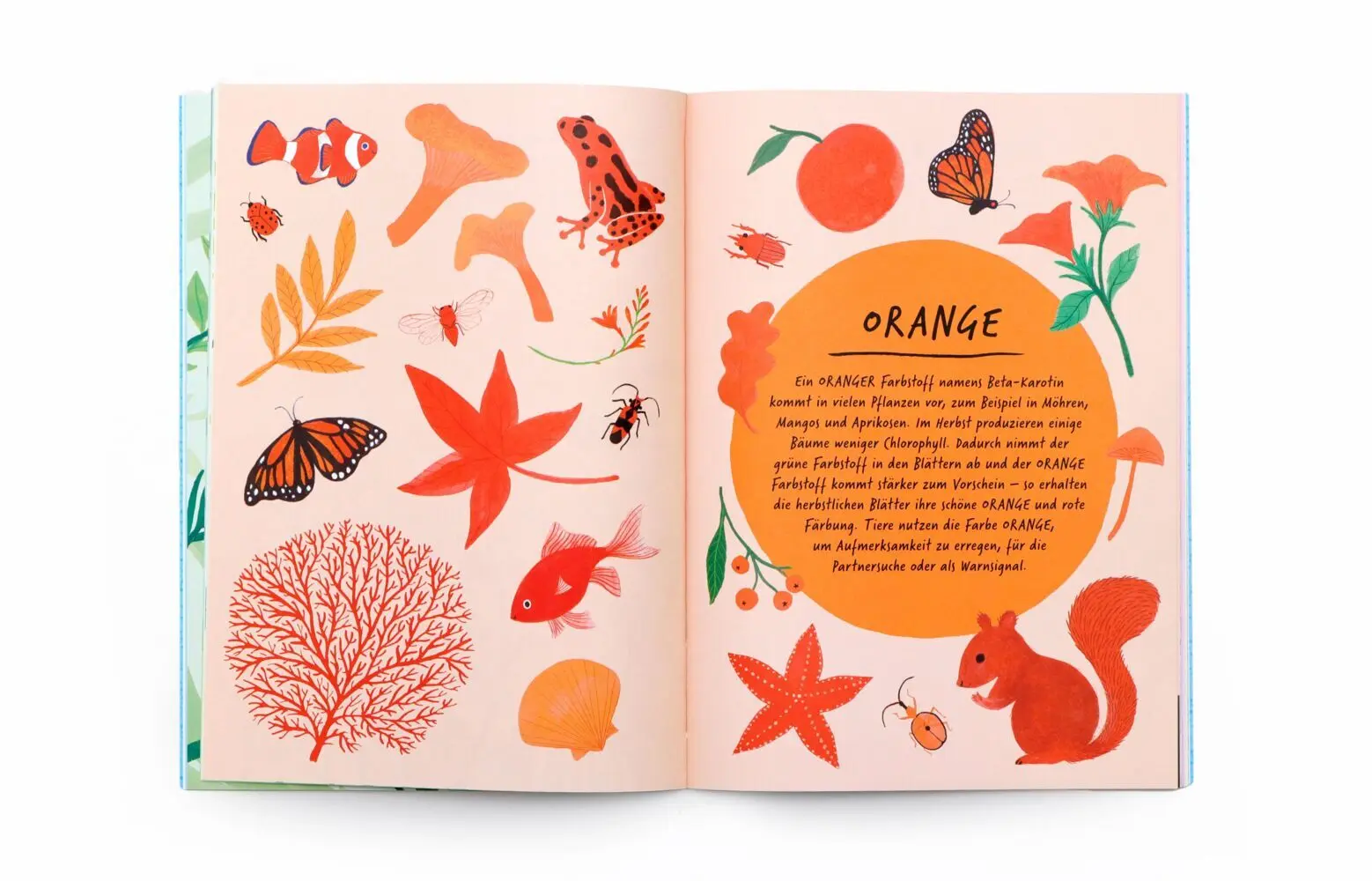 Bild: 9783962445430 | Zeichne wie die Natur: Farben | Emily Rand | Taschenbuch | 64 S.