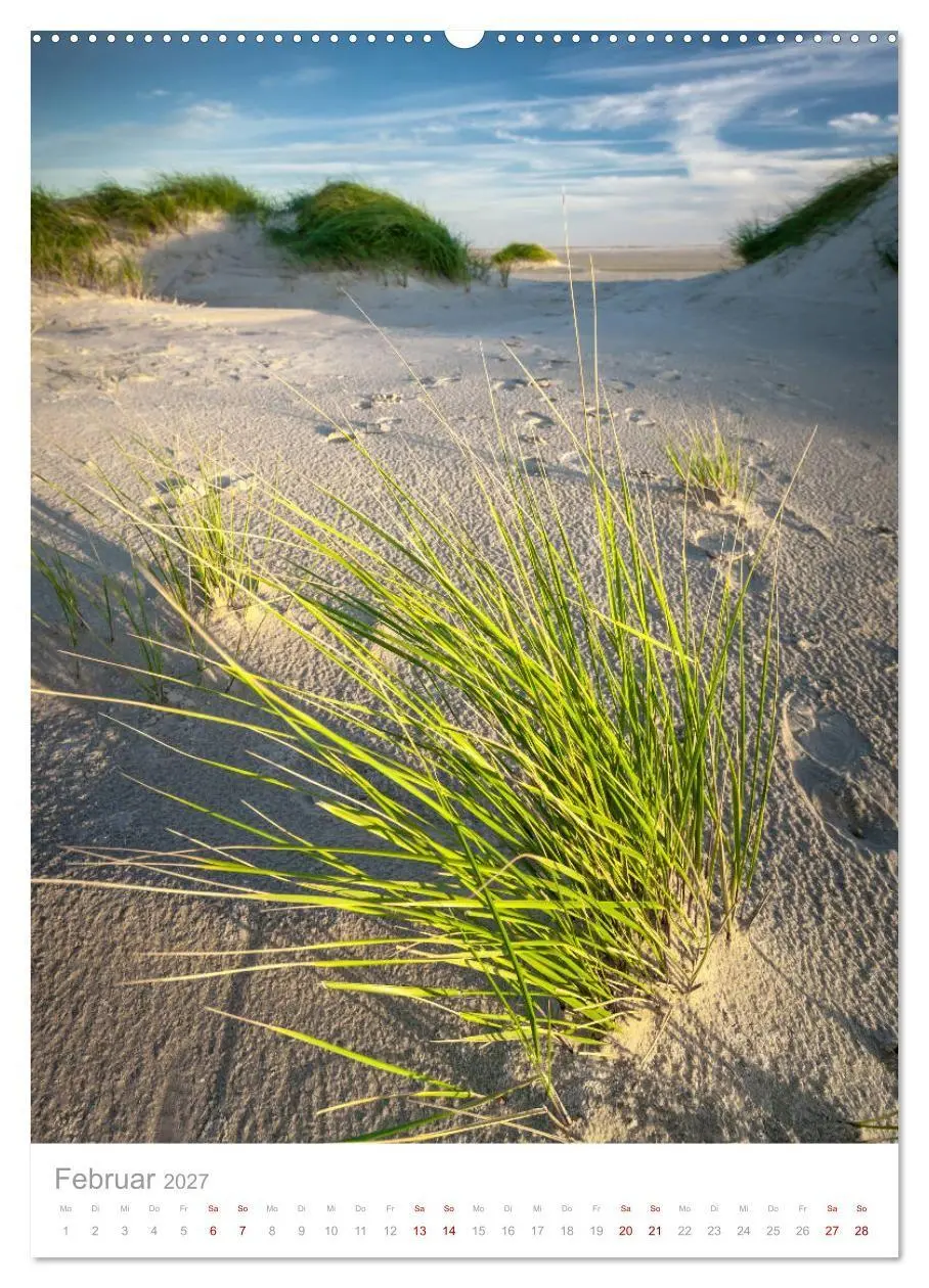 Bild: 9783569645530 | Amrum - Das Gesicht der Nordsee (Wandkalender 2027 DIN A2 hoch),...
