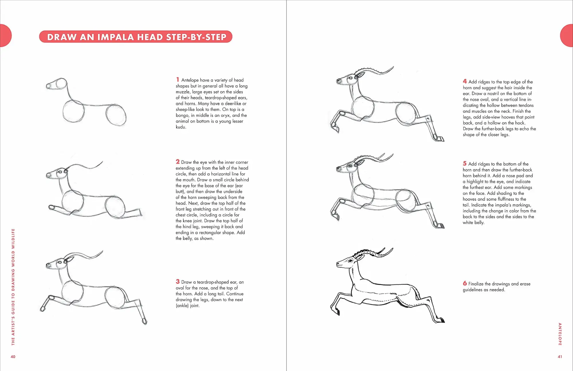 Bild: 9781580935630 | Artist's Guide to Drawing World Wildlife | J C Amberlyn | Taschenbuch