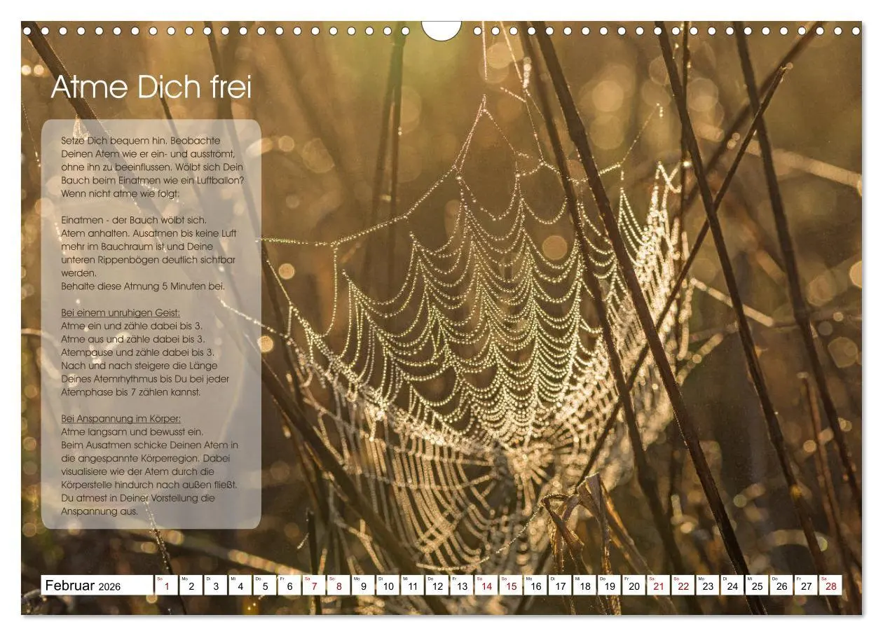 Bild: 9783457755730 | Meditation - Ein Kalender zum Mitmachen (Wandkalender 2026 DIN A3...