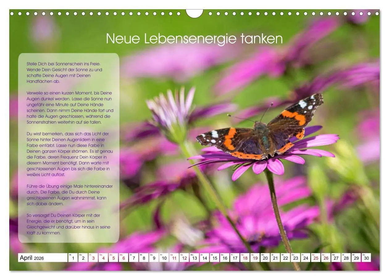 Bild: 9783457755730 | Meditation - Ein Kalender zum Mitmachen (Wandkalender 2026 DIN A3...