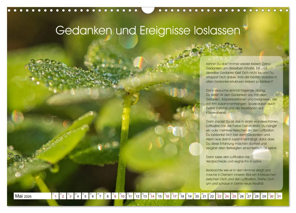 Bild: 9783457755730 | Meditation - Ein Kalender zum Mitmachen (Wandkalender 2026 DIN A3...