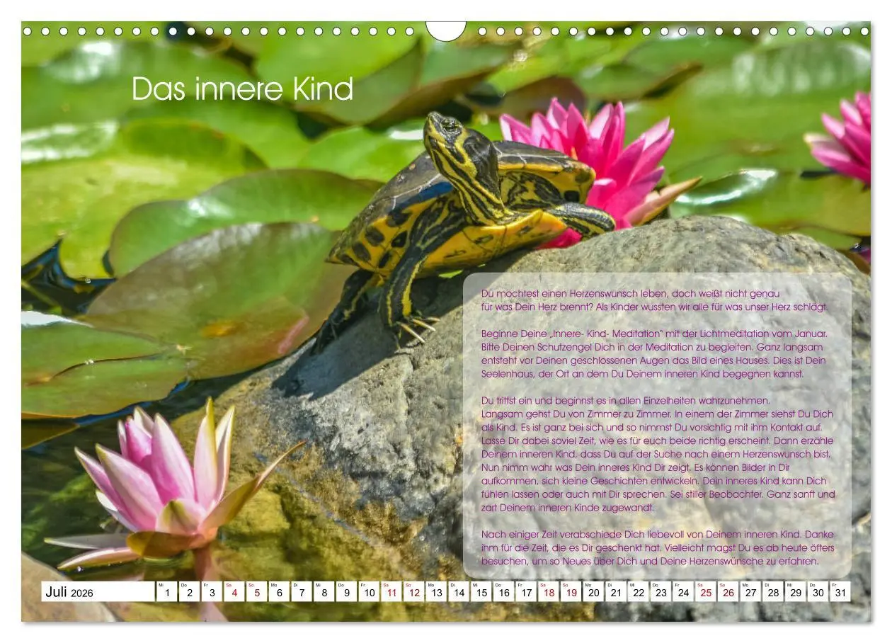 Bild: 9783457755730 | Meditation - Ein Kalender zum Mitmachen (Wandkalender 2026 DIN A3...