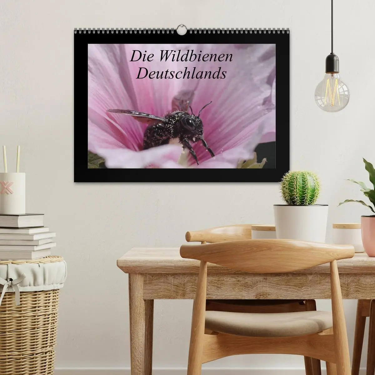 Bild: 9783516155730 | Die Wildbienen Deutschlands (Wandkalender 2026 DIN A3 quer),...