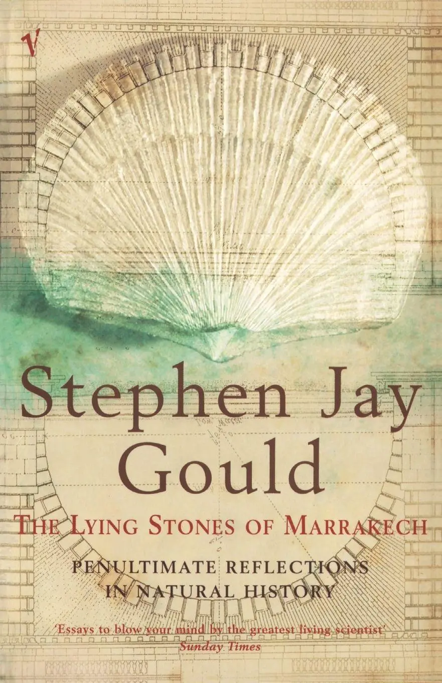 Cover: 9780099285830 | The Lying Stones of Marrakech | Stephen Jay Gould | Taschenbuch | 2001