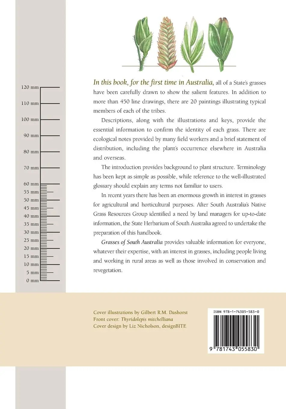 Rückseite: 9781743055830 | Grasses of South Australia | John Jessop | Taschenbuch | Englisch